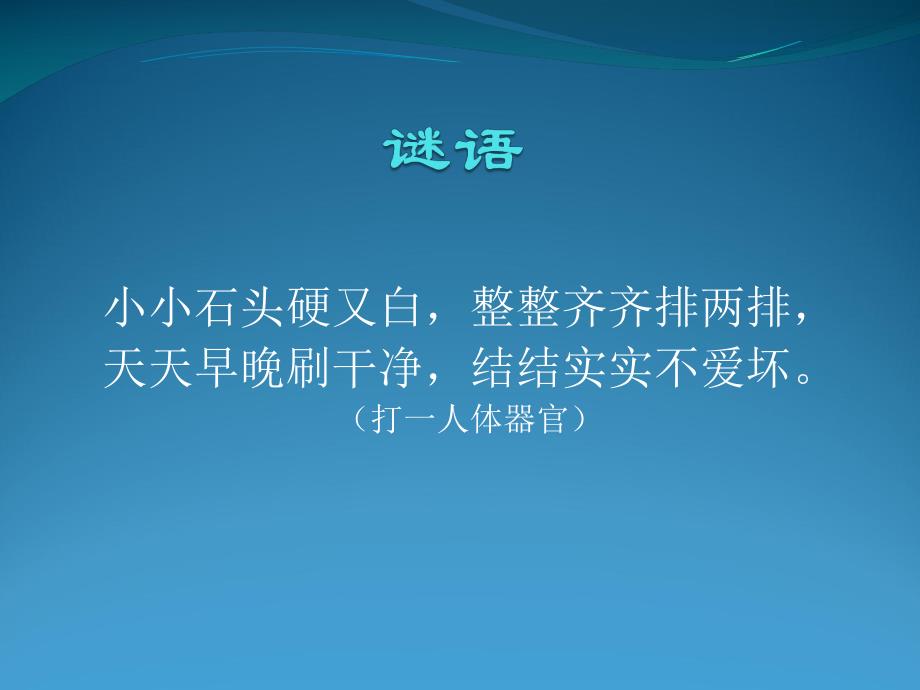 幼儿园健康教育《爱牙护牙》PPT课件幼儿园爱牙护牙.pptx_第3页