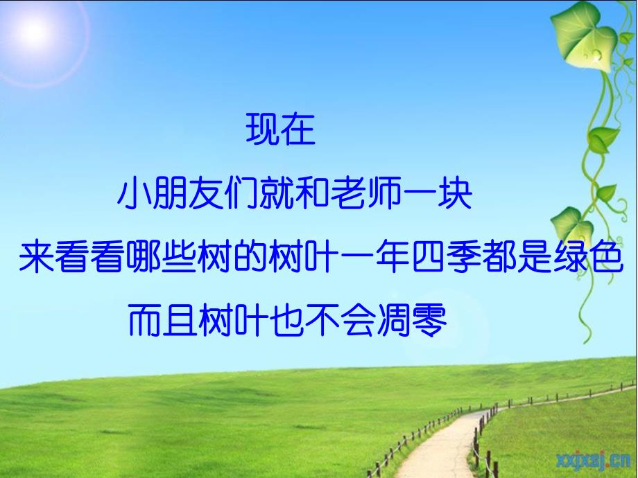 中班科学《认识常绿树与落叶树》PPT课件教案PPT课件.ppt_第2页