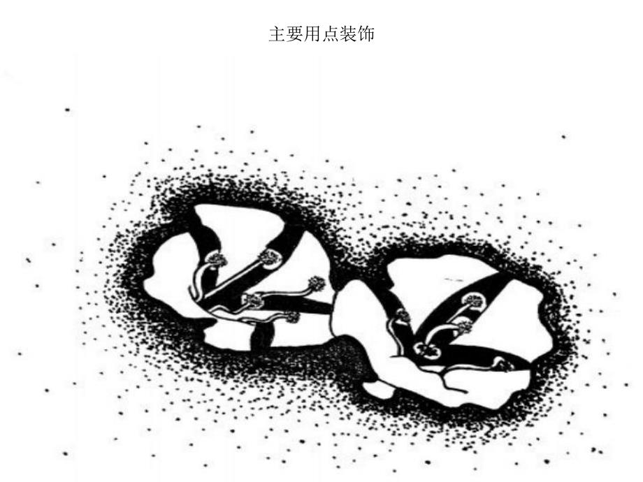 中班美术《黑白装饰画》PPT课件中班美术：黑白装饰画.ppt_第3页