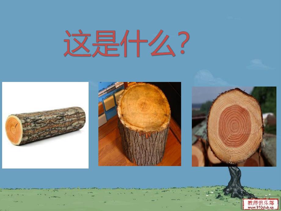 中班科学《木制品大集合》PPT课件教案PPT课件.ppt_第2页