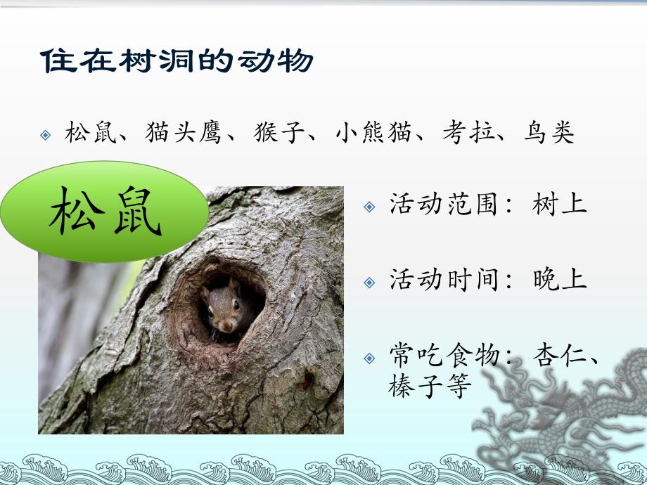 中班科学《住在洞里的动物》PPT课件住在洞里的动物.ppt_第3页