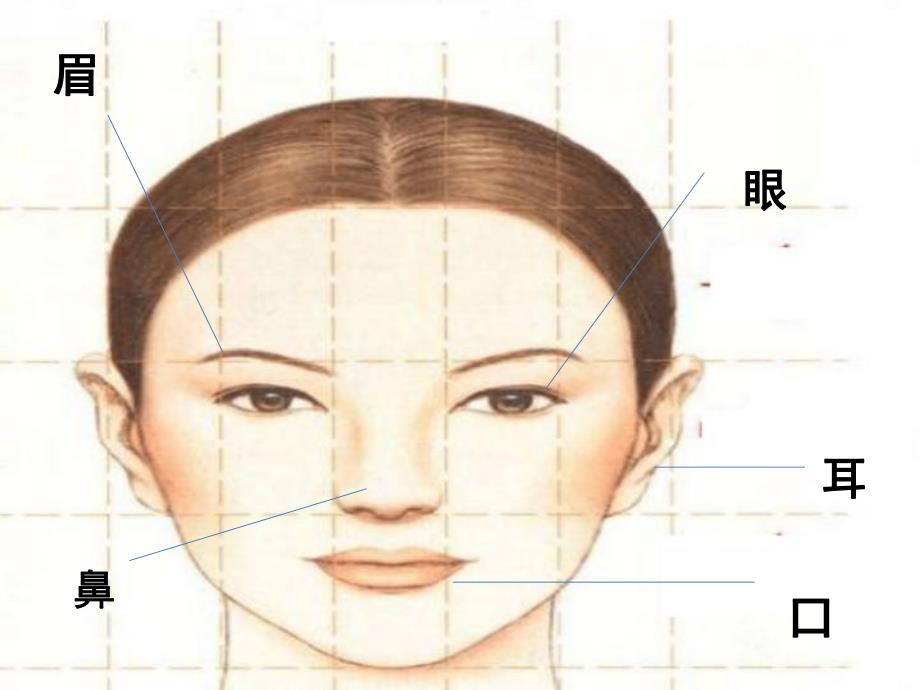 大班《健康日》PPT课件教案健康《健康日》.ppt_第3页