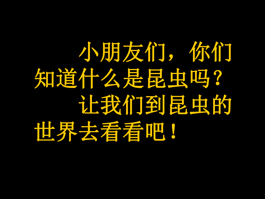 小班科学《认识昆虫》PPT课件教案小班科学-认识昆虫.pptx_第2页