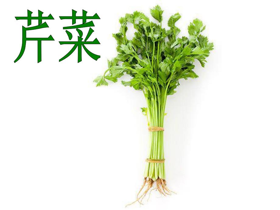 中班科学《认识芹菜》课件PPT教案认识芹菜.ppt_第2页