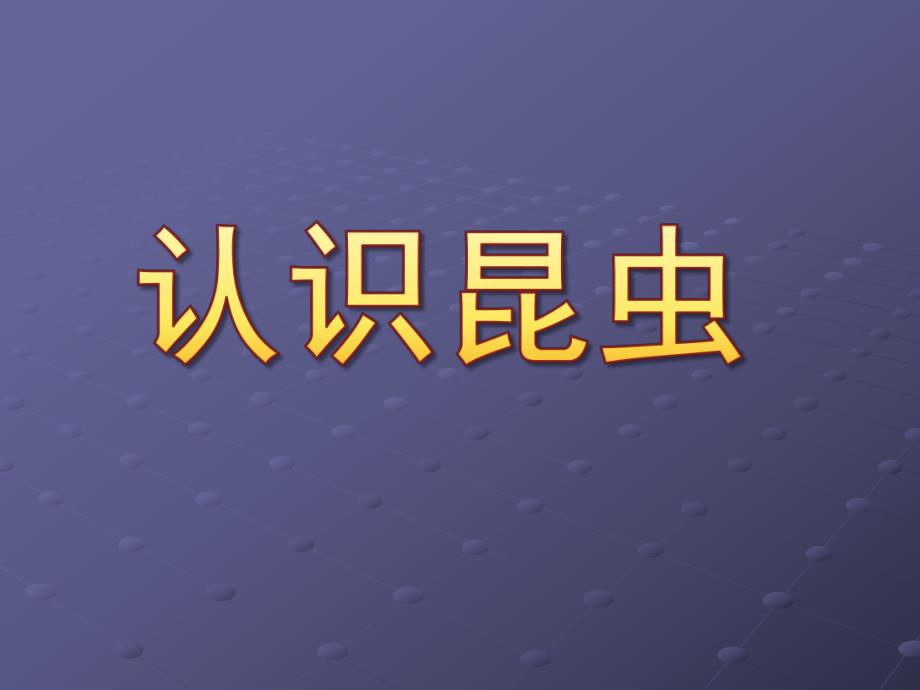 中班认识昆虫PPT课件教案中班认识昆虫.ppt_第1页