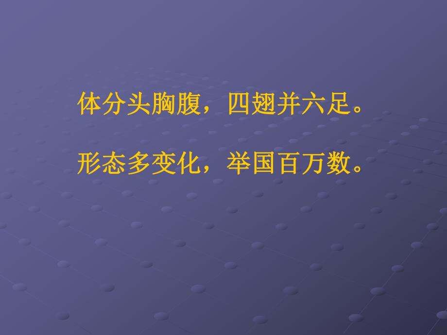 中班认识昆虫PPT课件教案中班认识昆虫.ppt_第3页