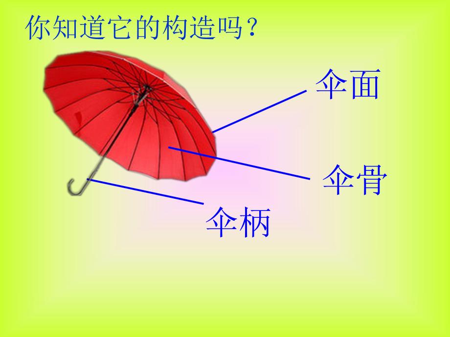 中班科学《大蘑菇》PPT课件中班科学：认识蘑菇.ppt_第3页