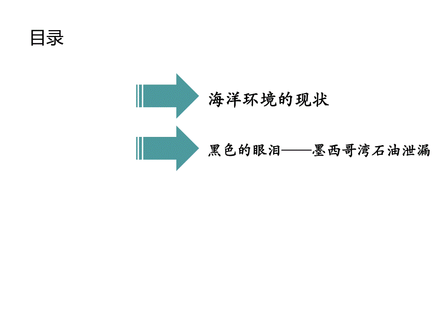 幼儿园海洋污染PPT幼儿园海洋污染.pptx_第2页