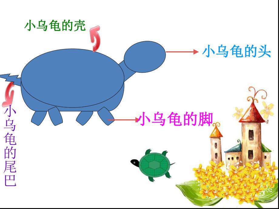 小班科学活动《认识乌龟》PPT课件教案科学教案小班认识小乌龟ppt课件.pptx_第3页