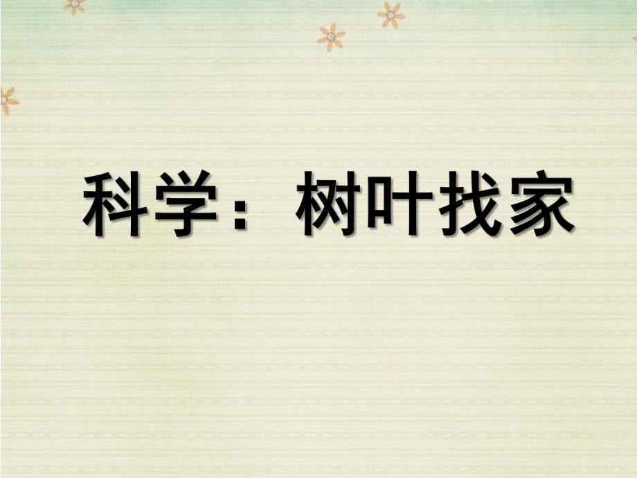 大班科学《树叶找家》PPT课件教案大班科学：树叶找家.ppt_第1页