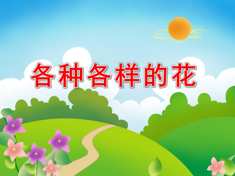 大班美术科学《各种各样的花》PPT课件教案《各种各样的花》.ppt_第1页