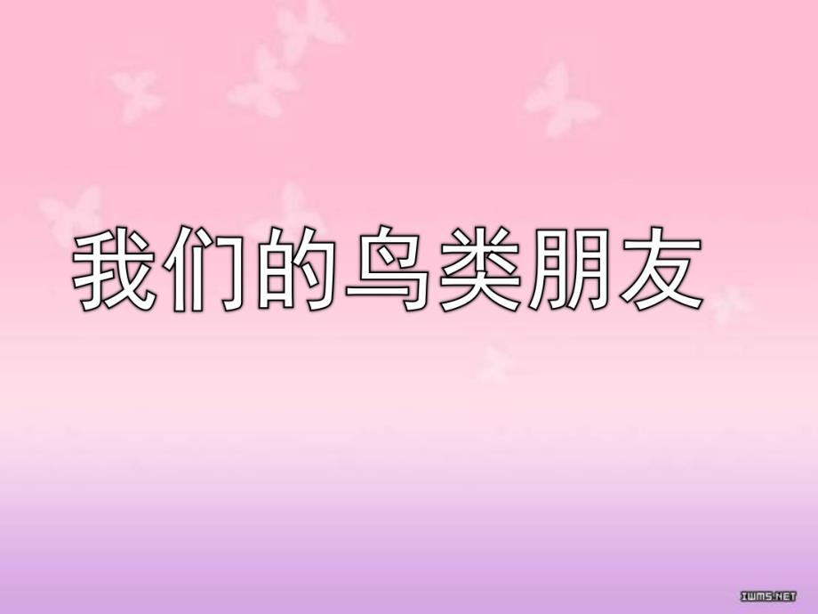 大班社会活动《我们的鸟类朋友》PPT课件大班社会活动《我们的鸟类朋友》.ppt_第1页