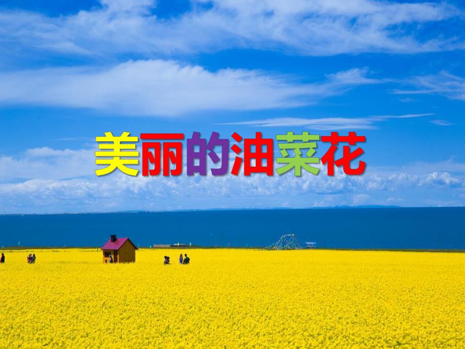 大班美术《美丽的油菜花》PPT课件教案PPT课件.ppt_第1页