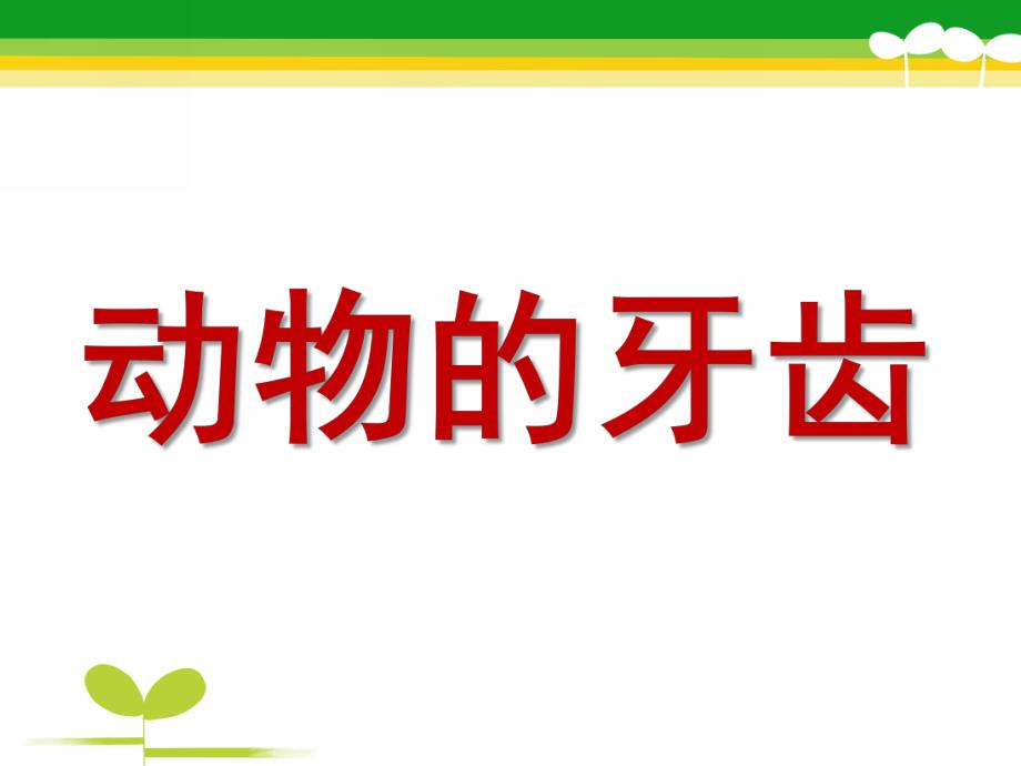 大班科学《动物的牙齿》PPT课件教案科学大班上第十六周+《动物的牙齿》.ppt_第1页