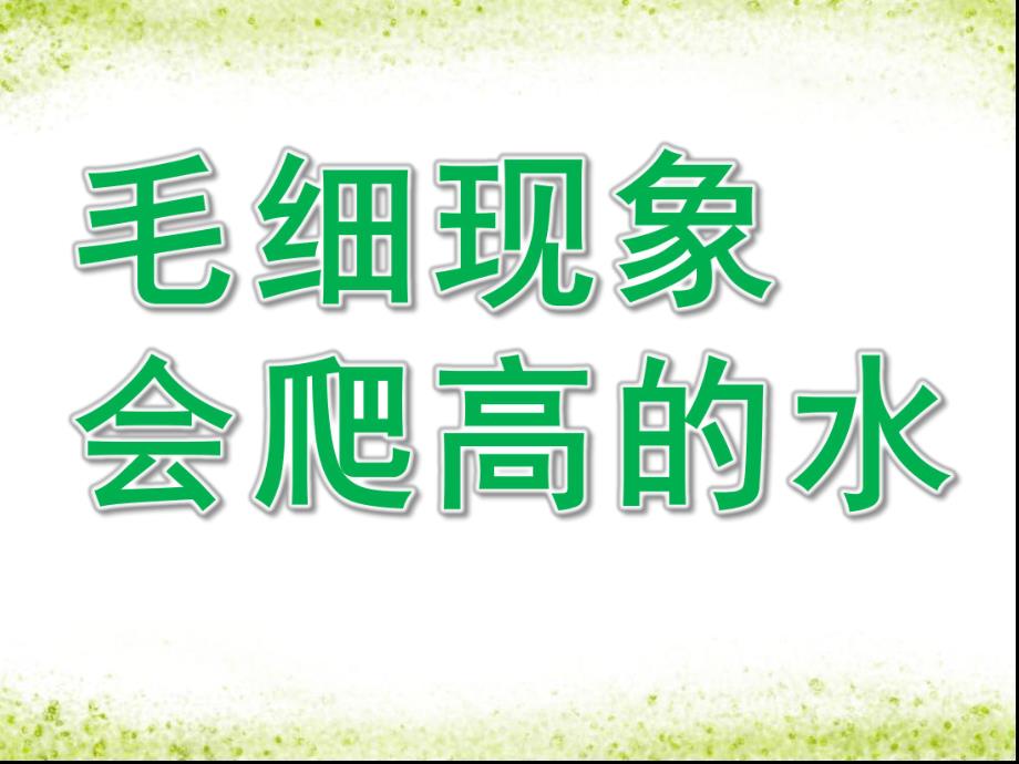 大班科学《毛细现象——会爬高的水》PPT课件教案毛细现象——会爬高的水.ppt_第1页