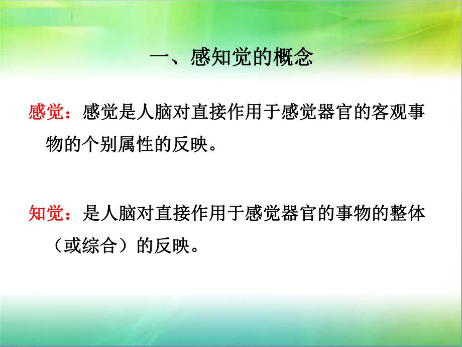 幼儿园学前儿童感知觉的发展的PPT课件学前儿童感知觉的发展.ppt_第3页