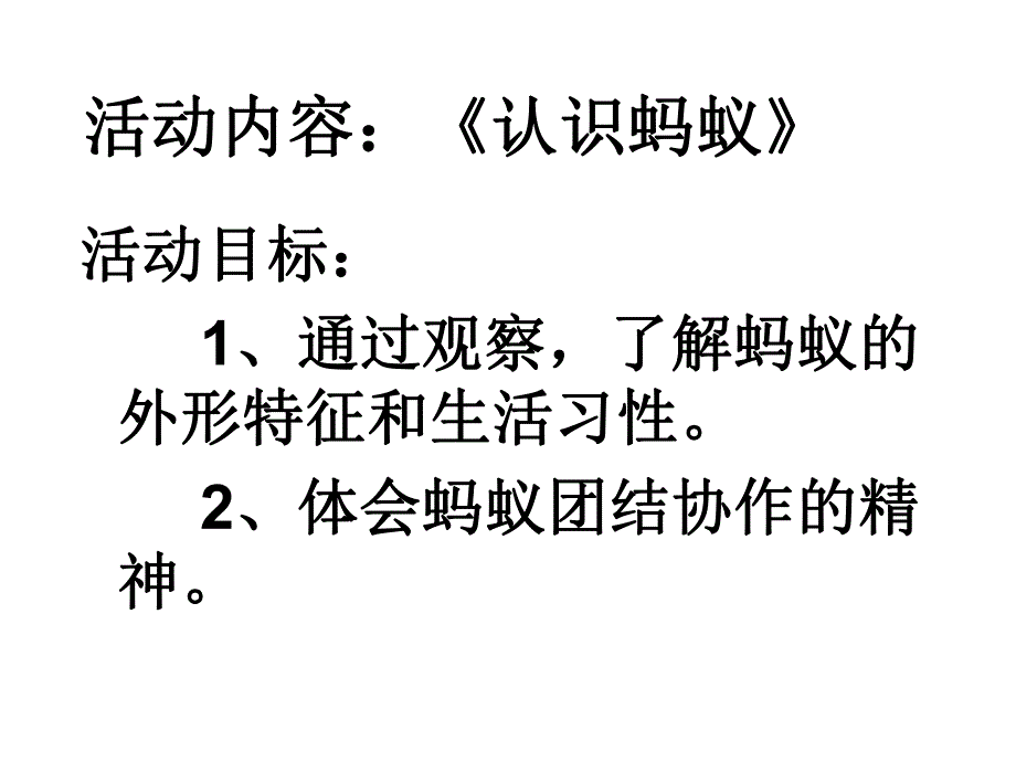 大班科学活动《认识蚂蚁》PPT课件教案视频音乐大班科学《认识蚂蚁》.ppt_第2页