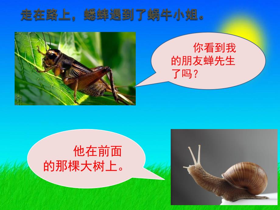 幼儿园语言故事《快乐的夏天》PPT课件教案快乐的夏天.ppt_第3页