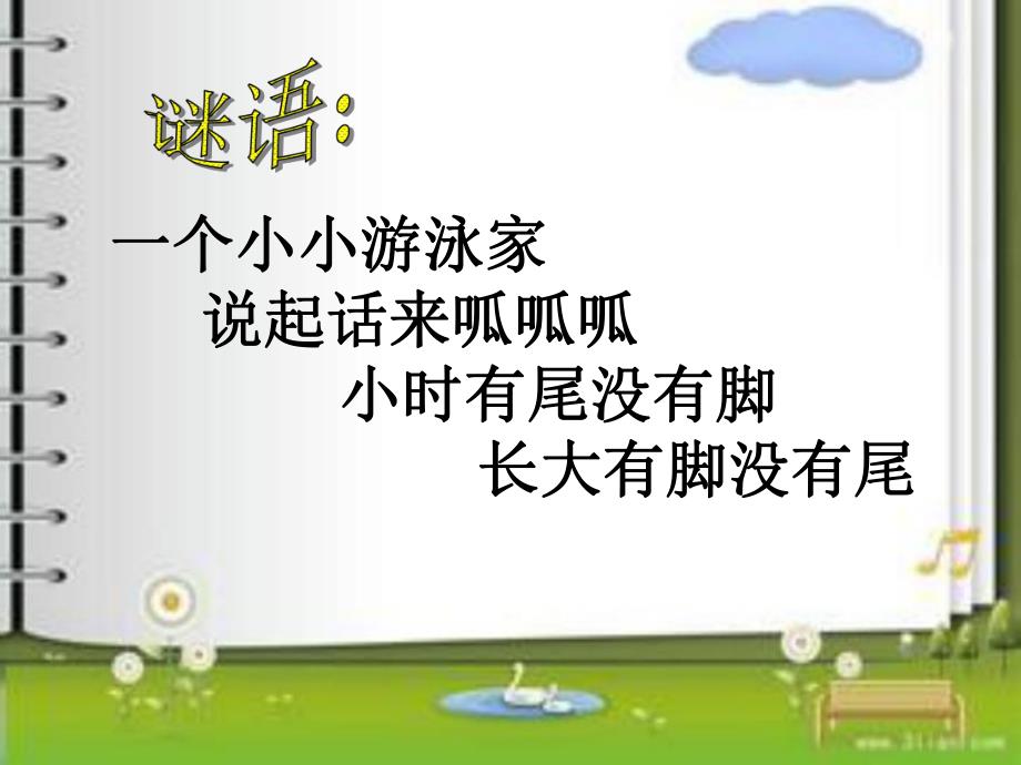 大班语言活动《青蛙歌》PPT课件青蛙歌.ppt_第3页