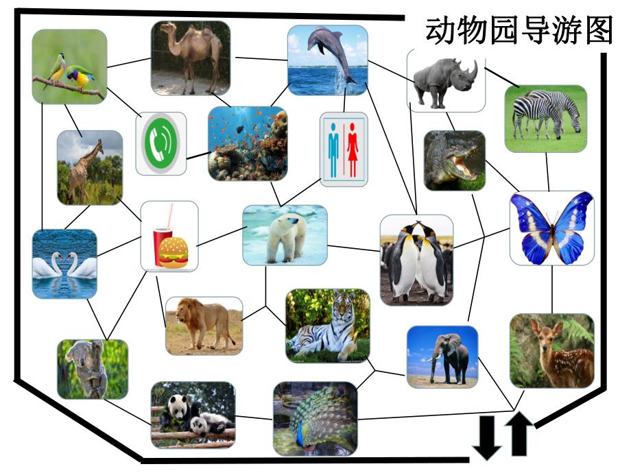 大班安全《出游好帮手》PPT课件大班-出游好帮手.ppt_第3页