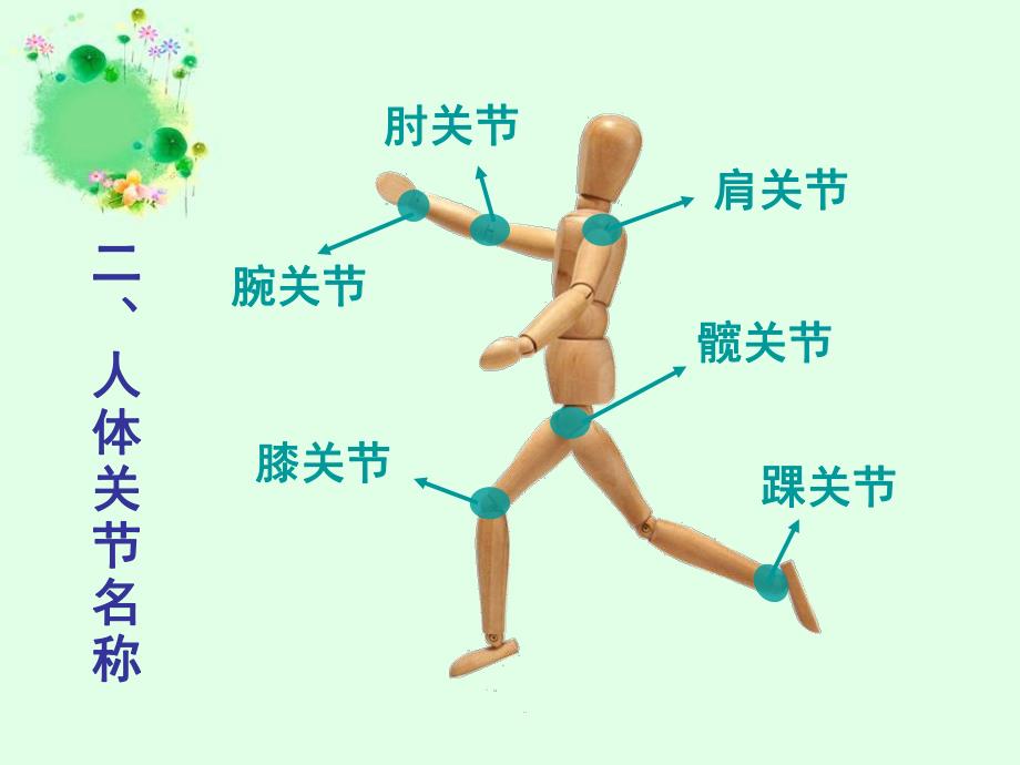 大班健康《认识人体关节》PPT课件教案PPT课件.ppt_第3页