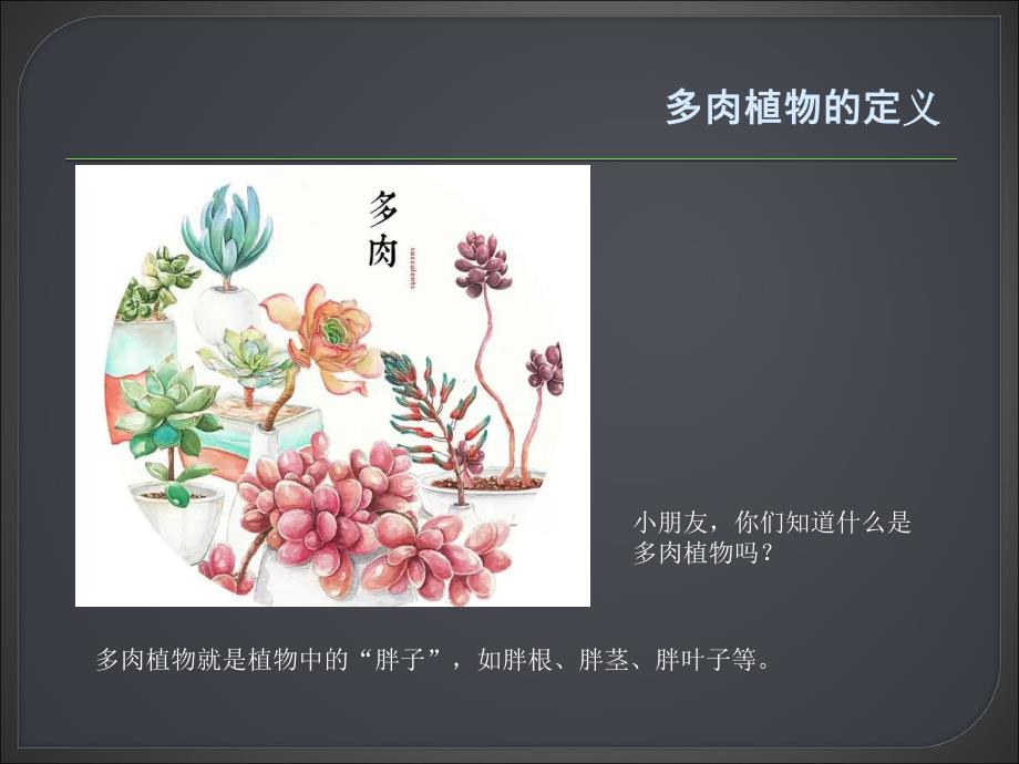 大班科学《多肉植物》PPT课件多肉植物(幼儿园.ppt_第2页