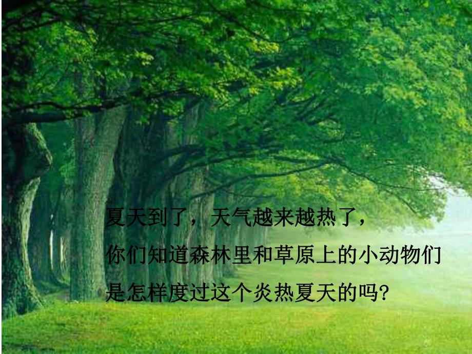 小班健康《防暑有妙招》PPT课件教案防暑有妙招.ppt_第2页