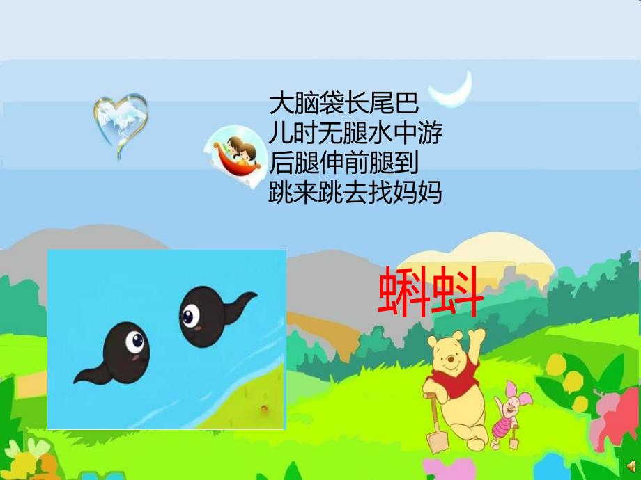 幼儿园动物儿歌《小蝌蚪》PPT课件配音音乐PPT课件.ppt_第2页