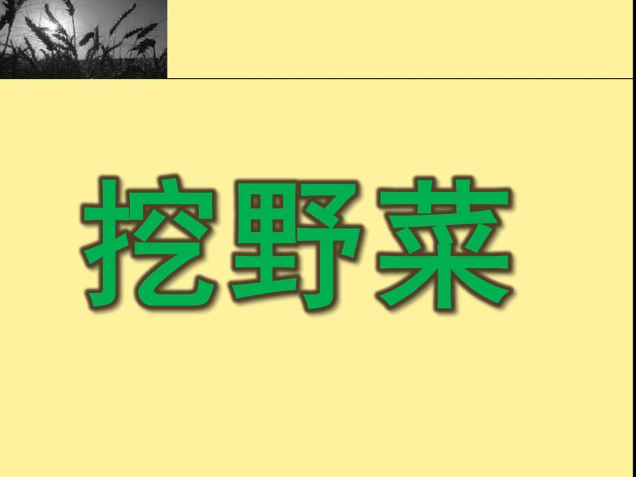 大班科学《挖野菜》PPT课件教案大班科学：挖野菜.ppt_第1页