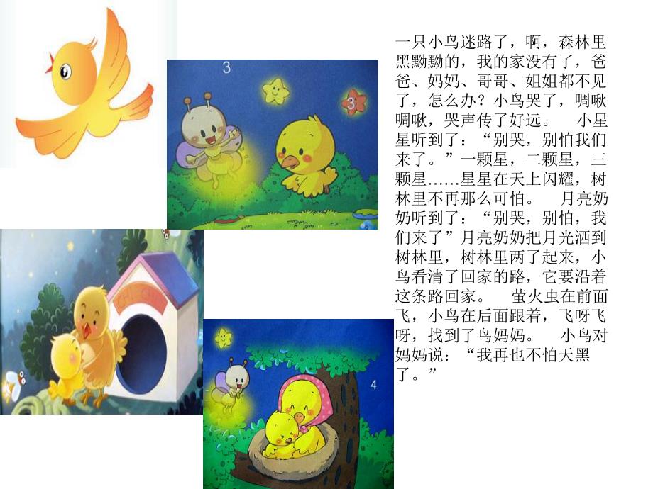 幼儿园故事《小鸟的家》PPT课件教案小鸟的家.ppt_第2页