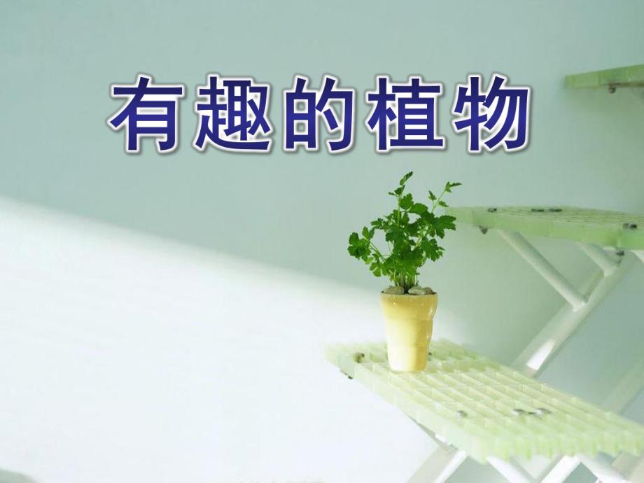 大班科学《有趣的植物》PPT课件教案有趣的植物.ppt_第1页