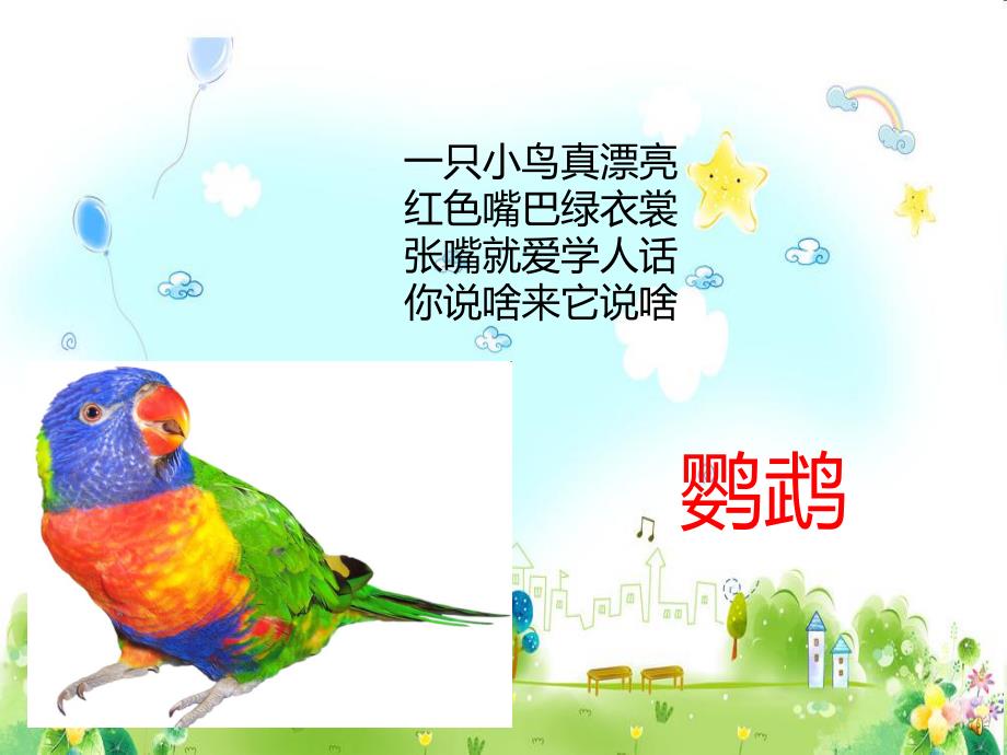 幼儿园动物儿歌《鹦鹉学舌》PPT课件配音音乐PPT课件.ppt_第2页