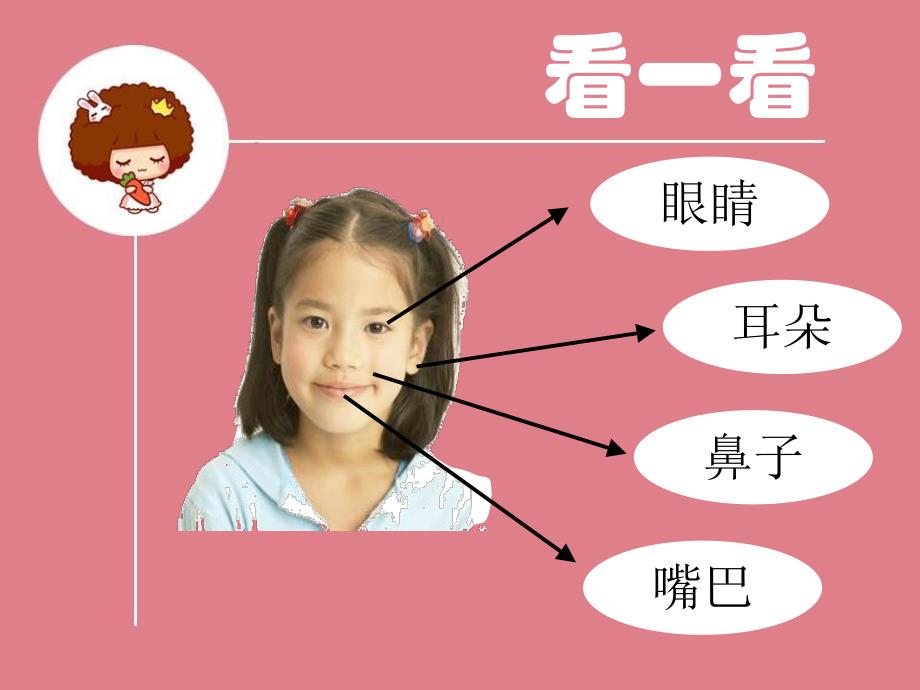 小班健康《我的脸上有什么》PPT课件教案我的脸上有什么.ppt_第3页