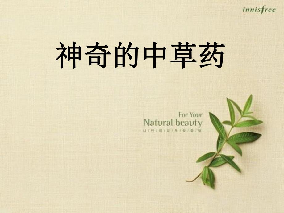 大班科学活动《神奇的中草药》2版视频+课件PPT+详案+动画神奇的中草药.ppt_第1页