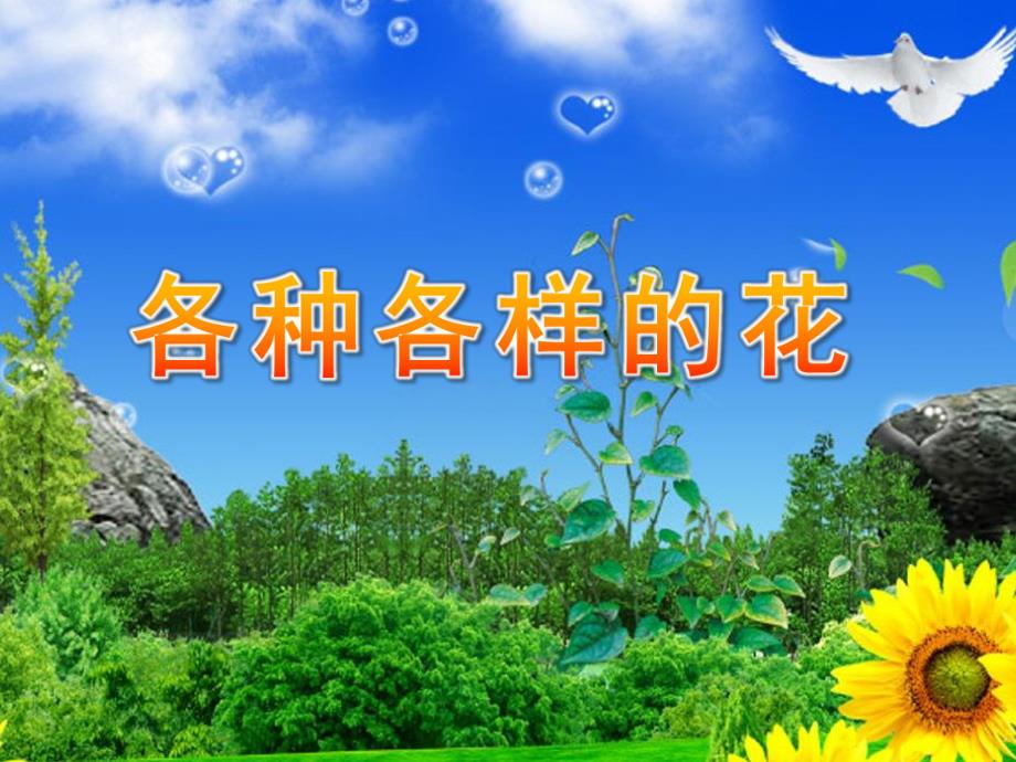 幼儿园《各种各样的花》PPT课件教案《各种各样的花》.ppt_第1页