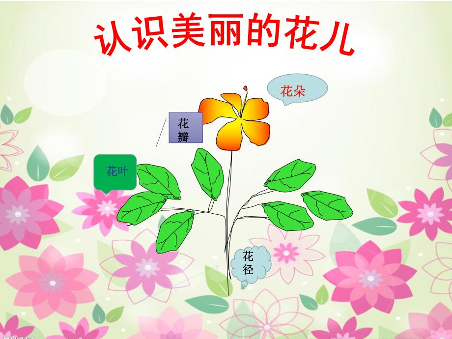 大班艺术《手工：泥塑小花朵》PPT课件教案微课件.ppt_第3页