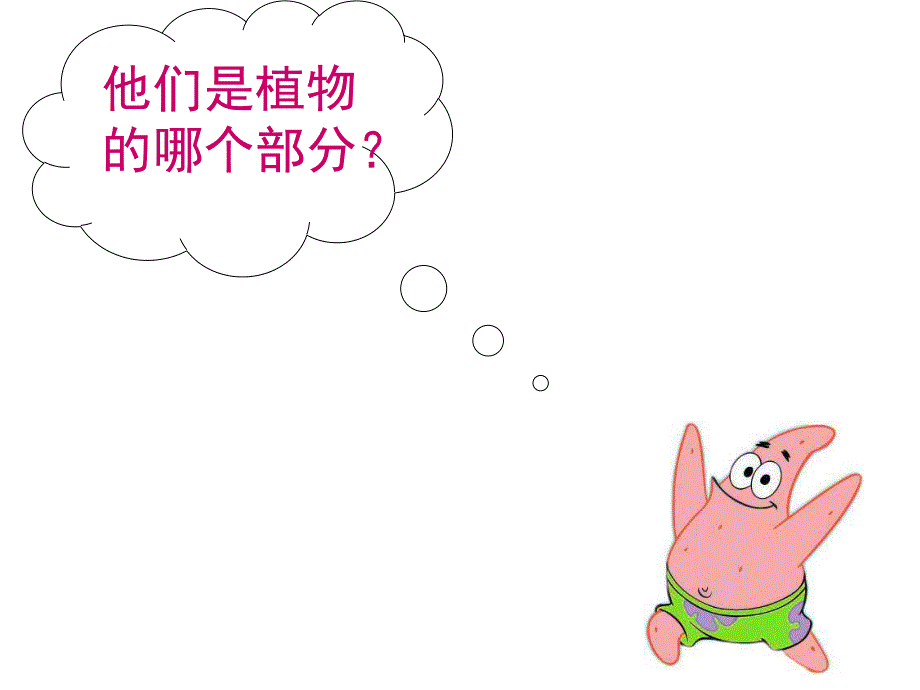 大班健康《营养丰富的蔬菜》PPT课件教案营养丰富的蔬菜.ppt_第3页