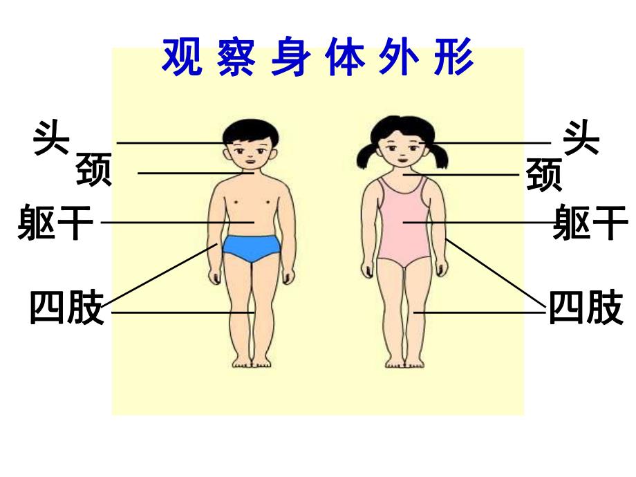 小班健康《保护我们的身体》PPT课件教案PPT课件.ppt_第3页