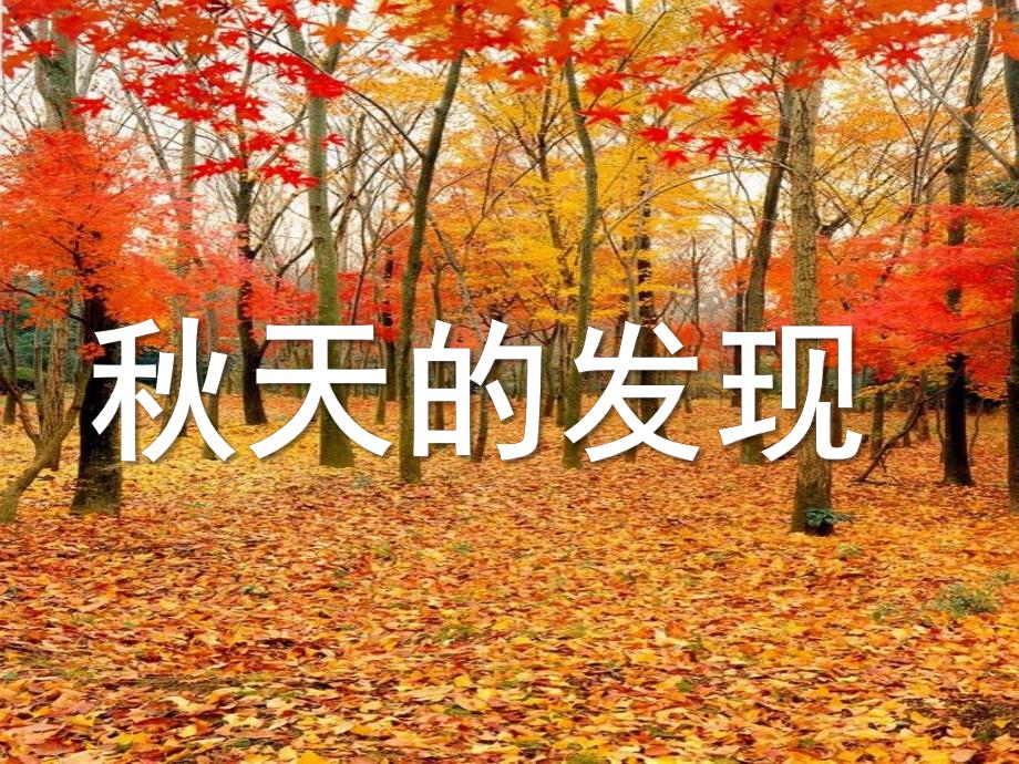 幼儿园《天的发现》PPT课件ppt课件.ppt_第1页