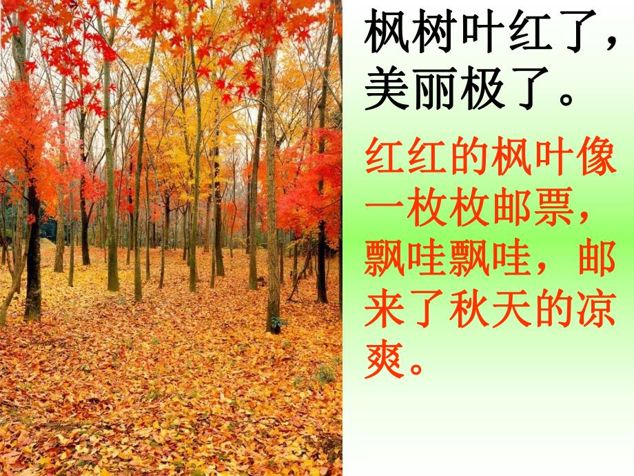 幼儿园《天的发现》PPT课件ppt课件.ppt_第3页