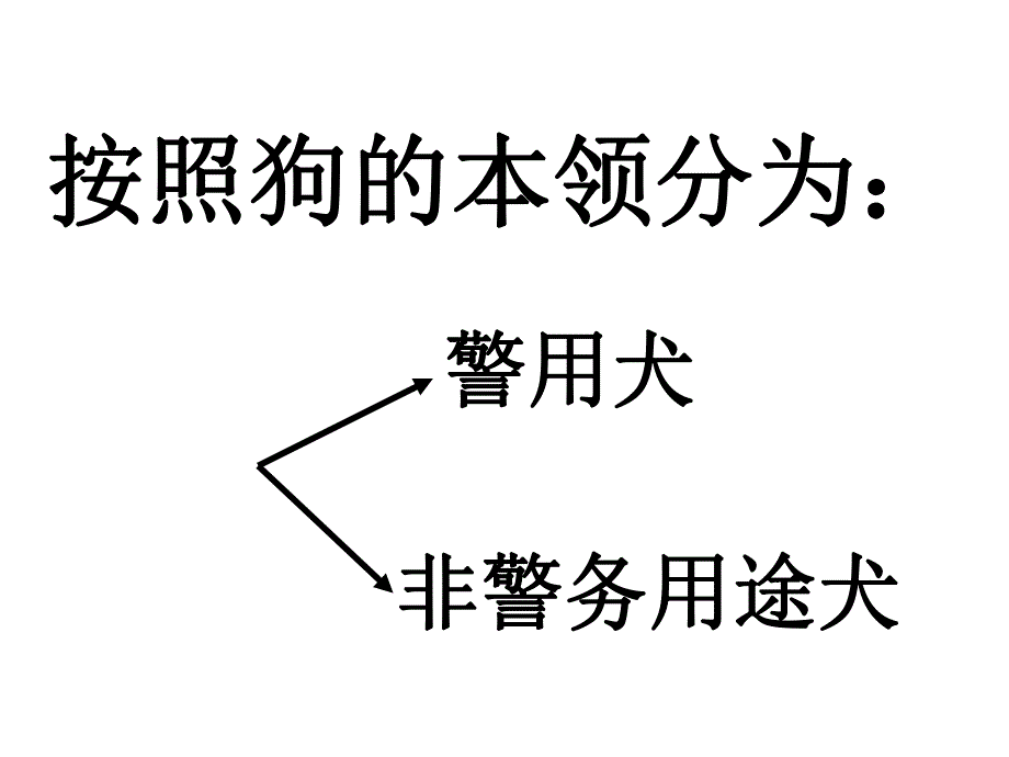 大班主题活动《狗的趣事》PPT课件狗的趣事.ppt_第2页