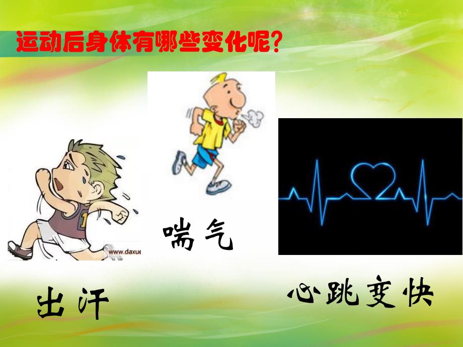 大班健康活动《运动后身体的变化》PPT课件教案PPT课件.ppt_第2页