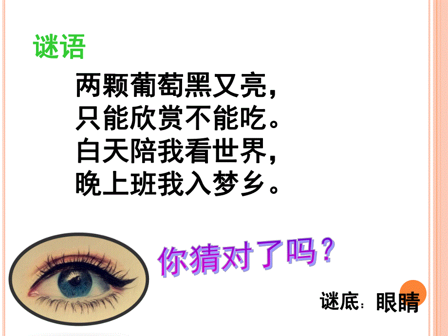 中班健康《保护我们的眼睛》PPT课件教案张滕轩公开课中班课件-保护我们的眼睛.ppt_第2页