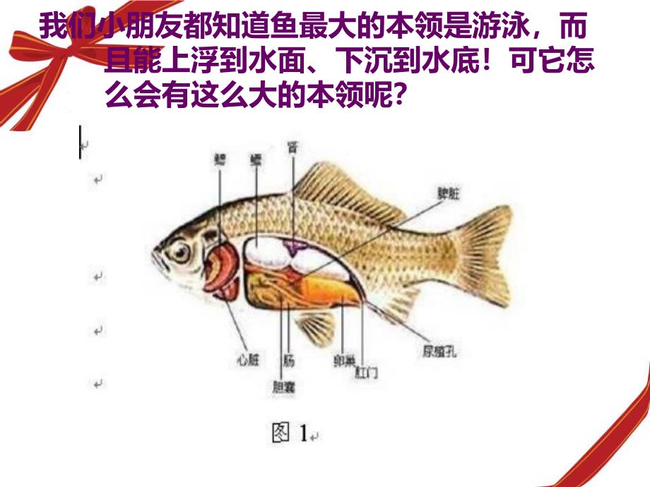 大班科学《潜水艇的秘密》PPT课件教案幼儿园大班潜水艇的秘密.ppt_第2页