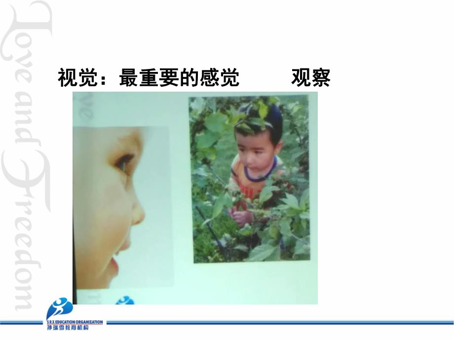 幼儿园儿童认知发展过程PPT课件儿童认知发展过程.ppt_第3页