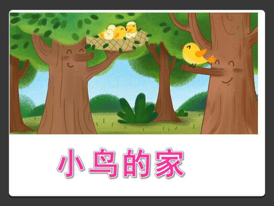 幼儿园《小鸟的家》PPT课件小鸟的家课件.ppt_第1页