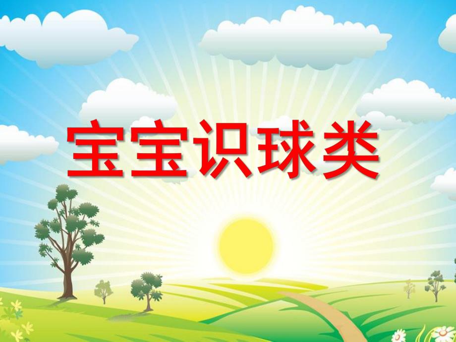 小班《宝宝识球类》PPT课件ppt课件.ppt_第1页