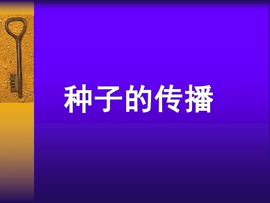 大班科学活动《种子的传播》PPT课件教案大班科学活动：种子的传播.ppt_第1页