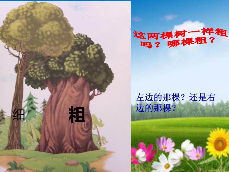 幼儿园数学《按粗细排队》PPT课件比粗细-并按粗细排队.ppt_第3页