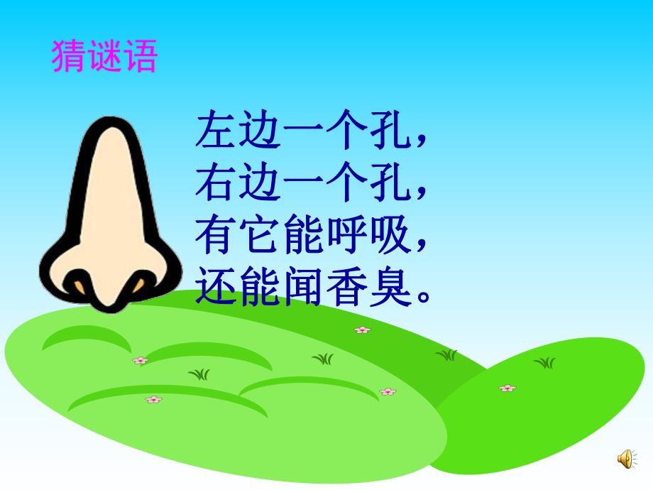 大班健康《鼻子的故事》PPT课件教案配音音乐ppt课件.ppt_第3页